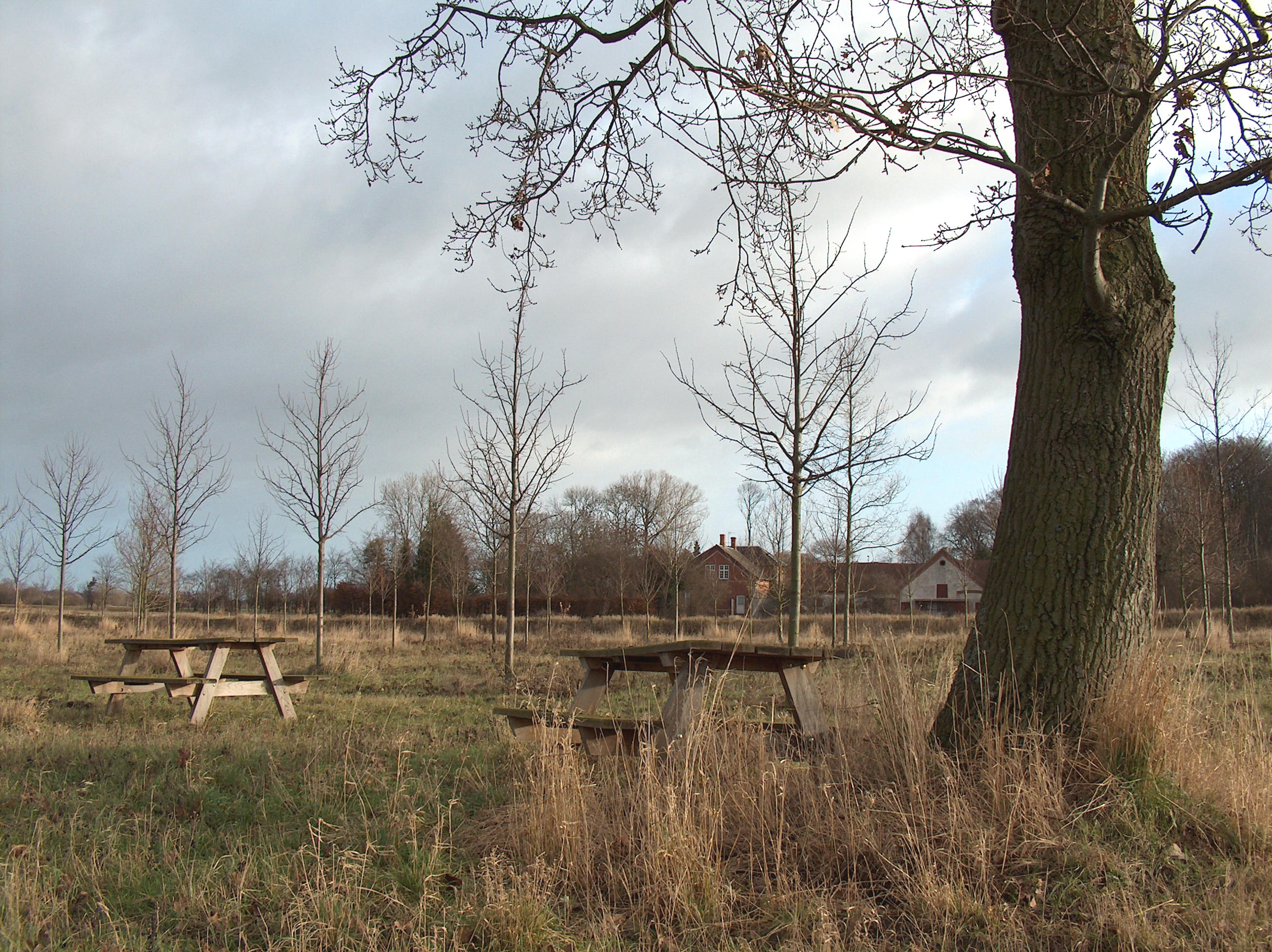 H.c.andersen skoven i odense